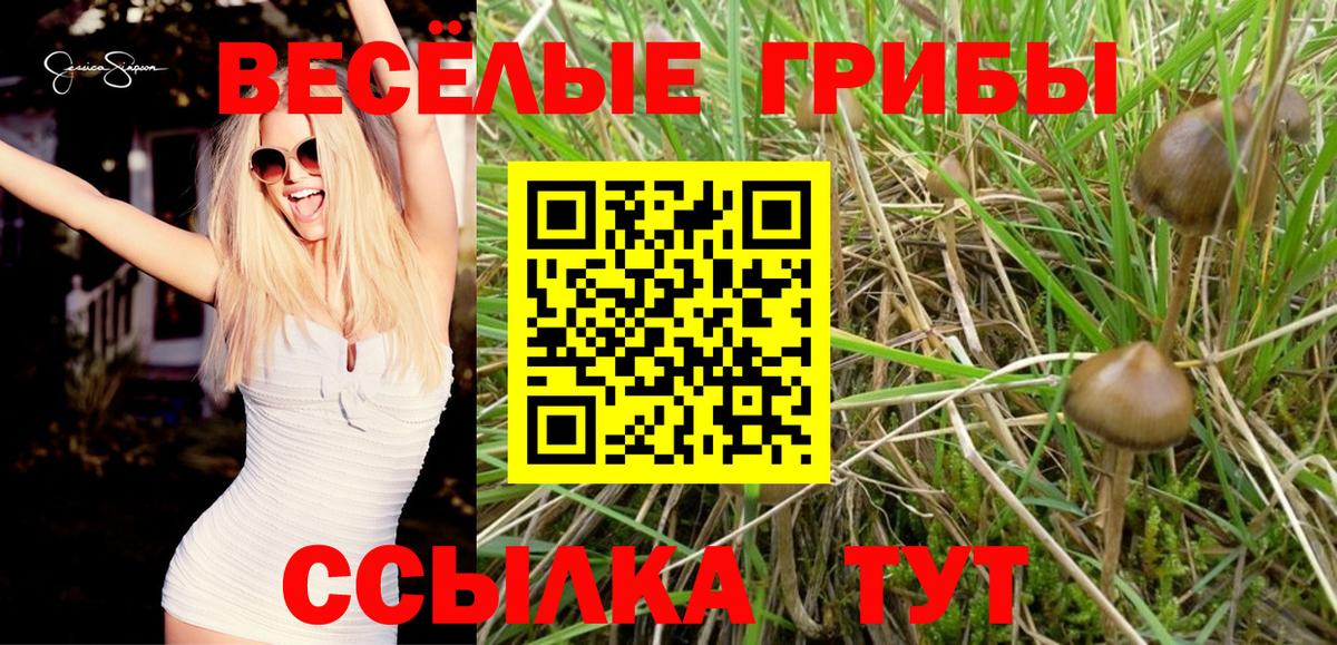 Бийск  Псилоцибиновые грибы мухоморы  магазин продажи наркотиков  Вход с VPN  Галлюциногенные грибы прущие грибы 