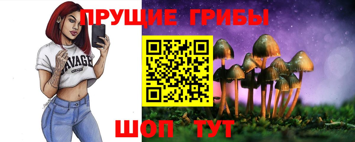 Галлюциногенные грибы Psilocybine cubensis Бийск