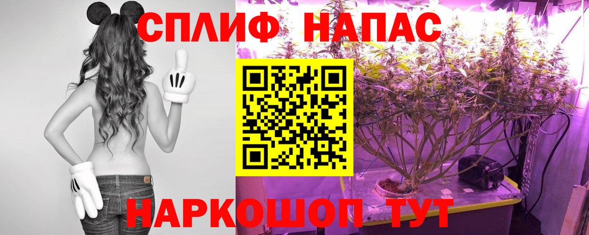Шишки марихуана семена Бийск